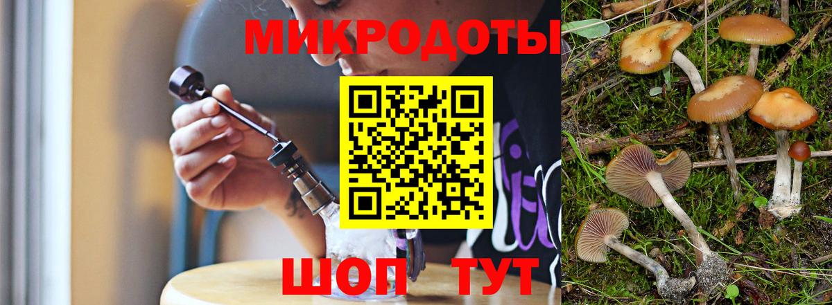 Алатырь  Псилоцибиновые грибы Magic Shrooms  Вход с VPN 
