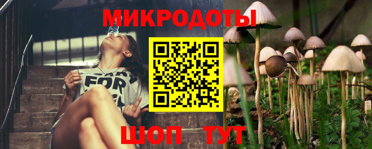 Галлюциногенные грибы Psilocybine cubensis Алатырь
